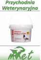Dolfos DG Immunodol dla gołębi - proszek 250g