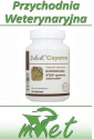Dolvit Cayenne - 90 tabletek - zniechęca psy do zjadania odchodów