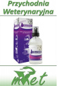 Feliway Classic Spray - dla zestresowanego kota w domu i w podróży