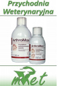 Dolfos Arthromax - syrop dla psów i kotów 500 ml