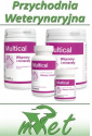Dolfos Multical - 90 tabletek - witaminowo-mineralny preparat dla psów