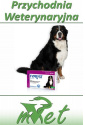 Fypryst Spot on XL - 10 pipet dla psa o wadze 40-60kg