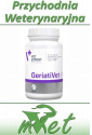 GeriatiVet Dog - 45 tabletek dla psów starszych
