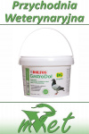 Dolfos DG Gastrodol - proszek 300g