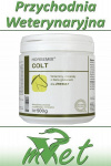 Dolfos Horsemix Colt - pudełko 500g