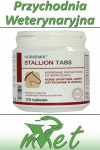 Dolfos Horsemix Stallion - 170 tabletek