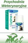 Lysine Kot - 50 ml - pyszna pasta o smaku łososia z L-lizyną - dla kociąt i kotów