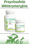 Dolfos Cannabis - 30 tab - dla psa i kota z CBD