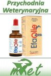 EFA Olie - 30ml - krople dla psów i kotów