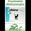 Zdjęcie 2